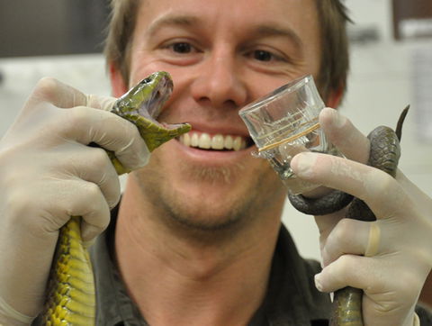 Australian Reptile Park - Accommodation 4U 9