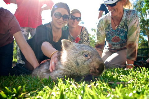 Australian Reptile Park - Accommodation 4U 10