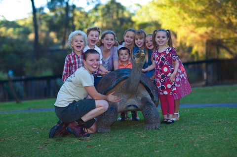 Australian Reptile Park - Accommodation 4U 11