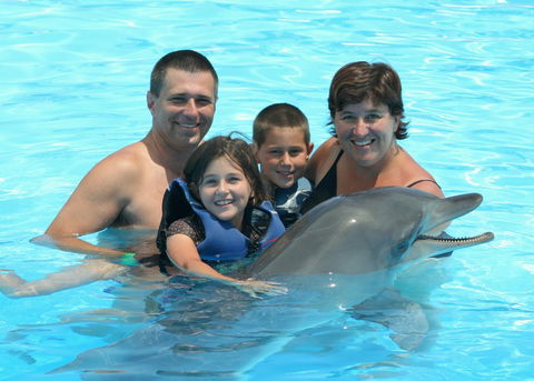 Dolphin Marine Magic - Accommodation 4U 2