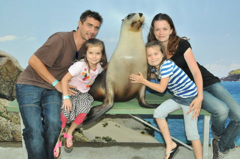 Dolphin Marine Magic - Accommodation 4U 6