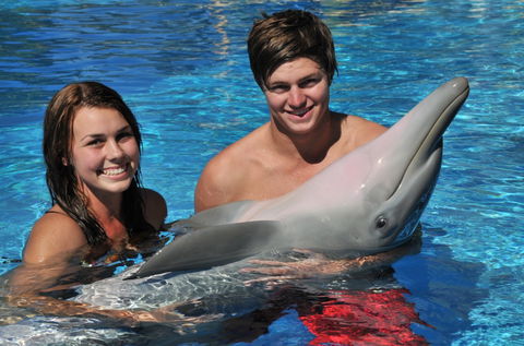 Dolphin Marine Magic - Accommodation 4U 8