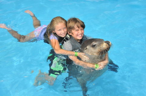 Dolphin Marine Magic - Accommodation 4U 9