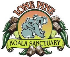 Lone Pine Koala Sanctuary - Accommodation 4U 0
