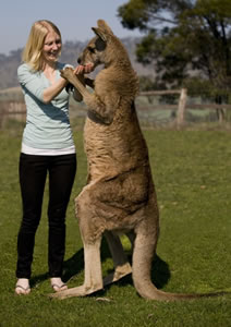 Zoo Doo Wildlife Park - Accommodation 4U 5