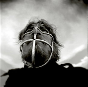 Australian Centre For Photography - Accommodation 4U 3