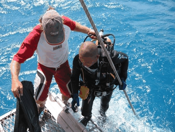 Big Cat Reality - Accommodation 4U 2