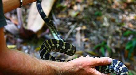 Queensland Day Tours - Accommodation 4U 1