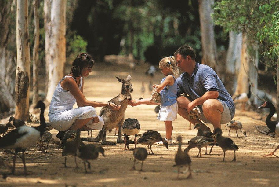 Townsville QLD Accommodation 4U