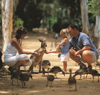 Billabong Sanctuary - Accommodation 4U