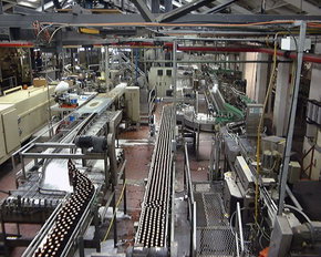Cascade Brewery Tour - Accommodation 4U 2