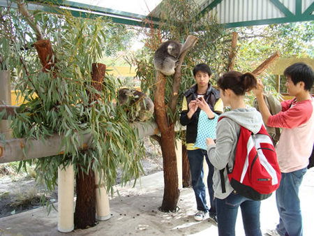 Caversham Wildlife Park - Accommodation 4U 4