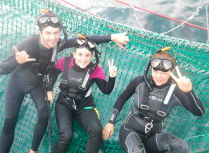 Dolphin Swim Australia - Accommodation 4U 7