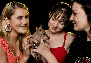 Cairns Night Zoo - Accommodation 4U 1