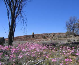 Talgomine Reserve - Accommodation 4U 0