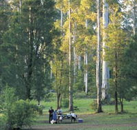 Big Brook Arboretum