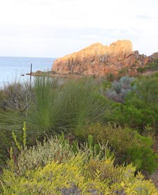 Meelup Trail - Accommodation 4U 0