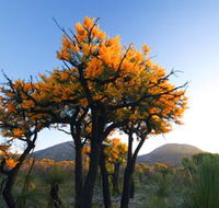 Cape Le Grand National Park - Accommodation 4U