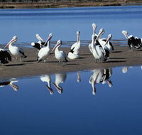 Peel Region Canoe Trails - Accommodation 4U