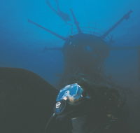 Swan Dive Wreck - Accommodation 4U
