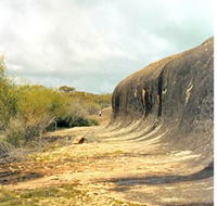 Totadgin Dam Reserve
