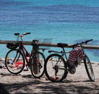 Parker Point Marine Snorkel Trail - Accommodation 4U