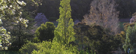 Golden Valley Tree Park - Accommodation 4U 3