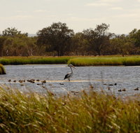 Anytime Adventures in Mandurah  the Peel Region - Accommodation 4U