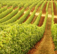 Happs Wines - Accommodation 4U