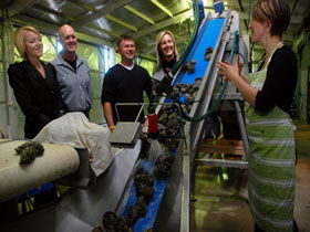 Eyre Peninsula's Seafood Trail - Accommodation 4U 0
