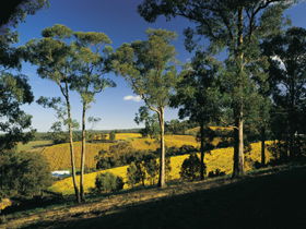 Lobethal SA Accommodation 4U