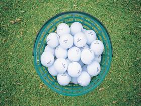 Mount Gambier Golf Club - Accommodation 4U 0