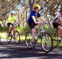 Penola Cycling Trails - Accommodation 4U