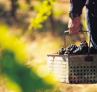 Burge Family Winemakers - Accommodation 4U