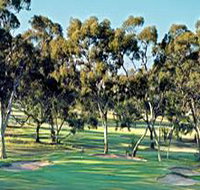 Tanunda Pines Golf Club - Accommodation 4U