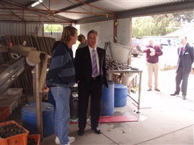 Southern Yorke Oysters - Accommodation 4U 0
