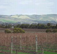 Mclaren Vale Premium Wines - Accommodation 4U
