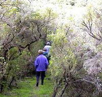 Jack And Hilda McArthur Walk - Accommodation 4U