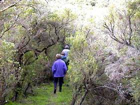 Jack And Hilda McArthur Walk - Accommodation 4U 0