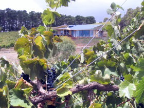 Fleurieu Peninsula SA Accommodation 4U
