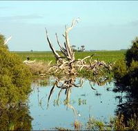 Bool Lagoon Game Reserve and Hacks Lagoon Conservation Park - Accommodation 4U