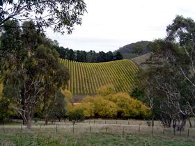 Mt Bera Vineyards - Accommodation 4U 0