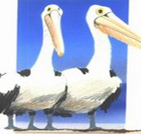 Bay of Shoals Wines - Accommodation 4U