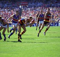 AAMI Stadium Tours - Accommodation 4U