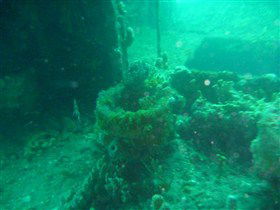 Wallaroo Scuba Club - Accommodation 4U 0