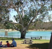 Naracoorte Nature Park and Swimming Lake - Accommodation 4U