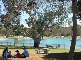 Naracoorte Nature Park And Swimming Lake - Accommodation 4U 0