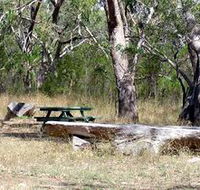 Penola Conservation Park - Accommodation 4U