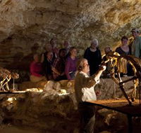 Naracoorte Caves National Park - Accommodation 4U