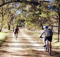 Bike About Mountain Bike Tours And Hire